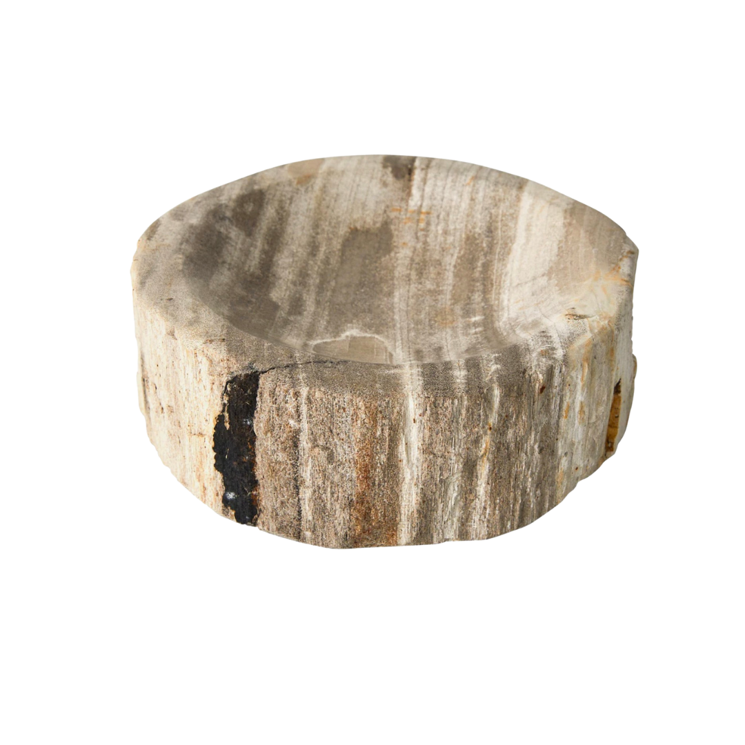 Petrified Wood Dish