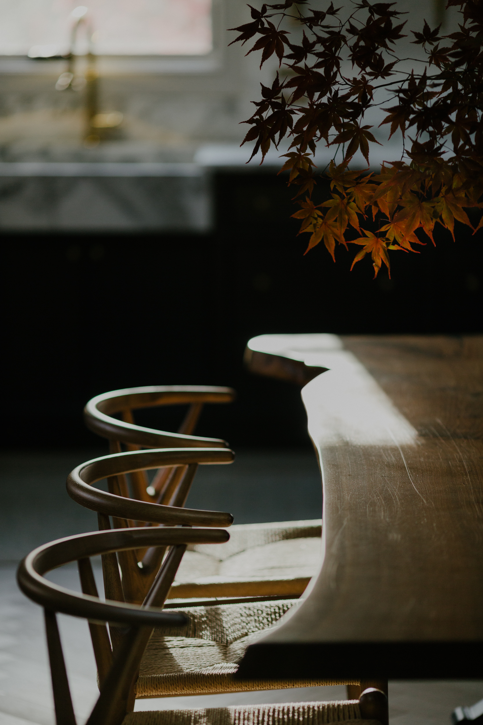 Sunlit Dining Table