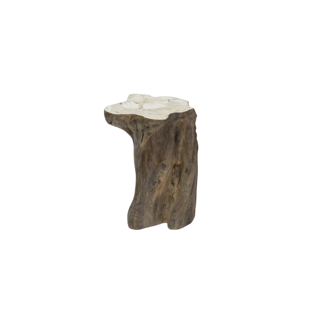 Petrified Wooden Side Table