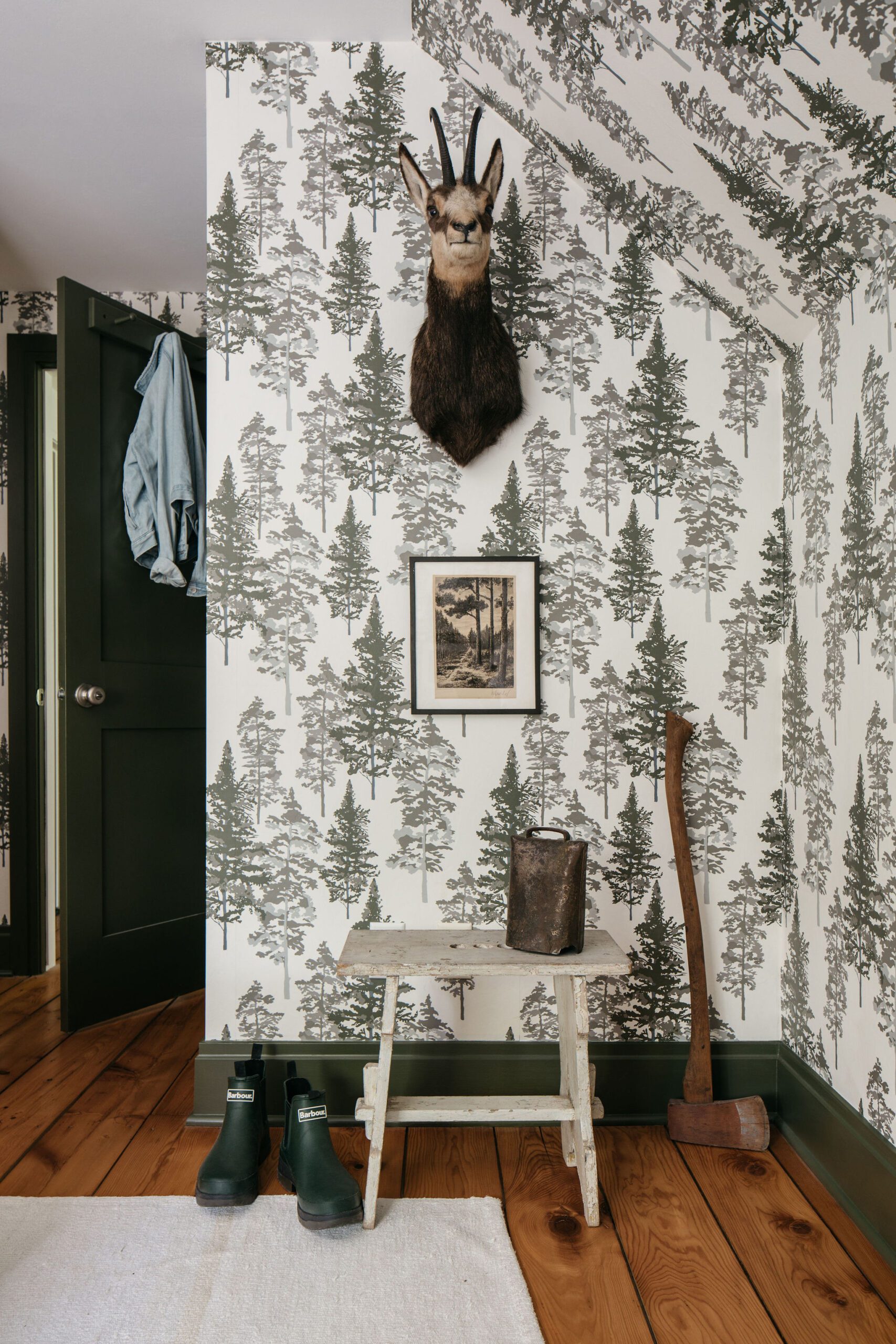 Head Mantle Pine Wallpaper Room