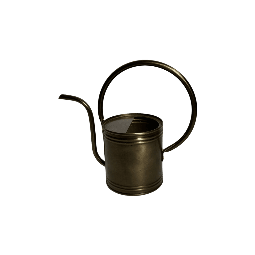 Brass Watering Can