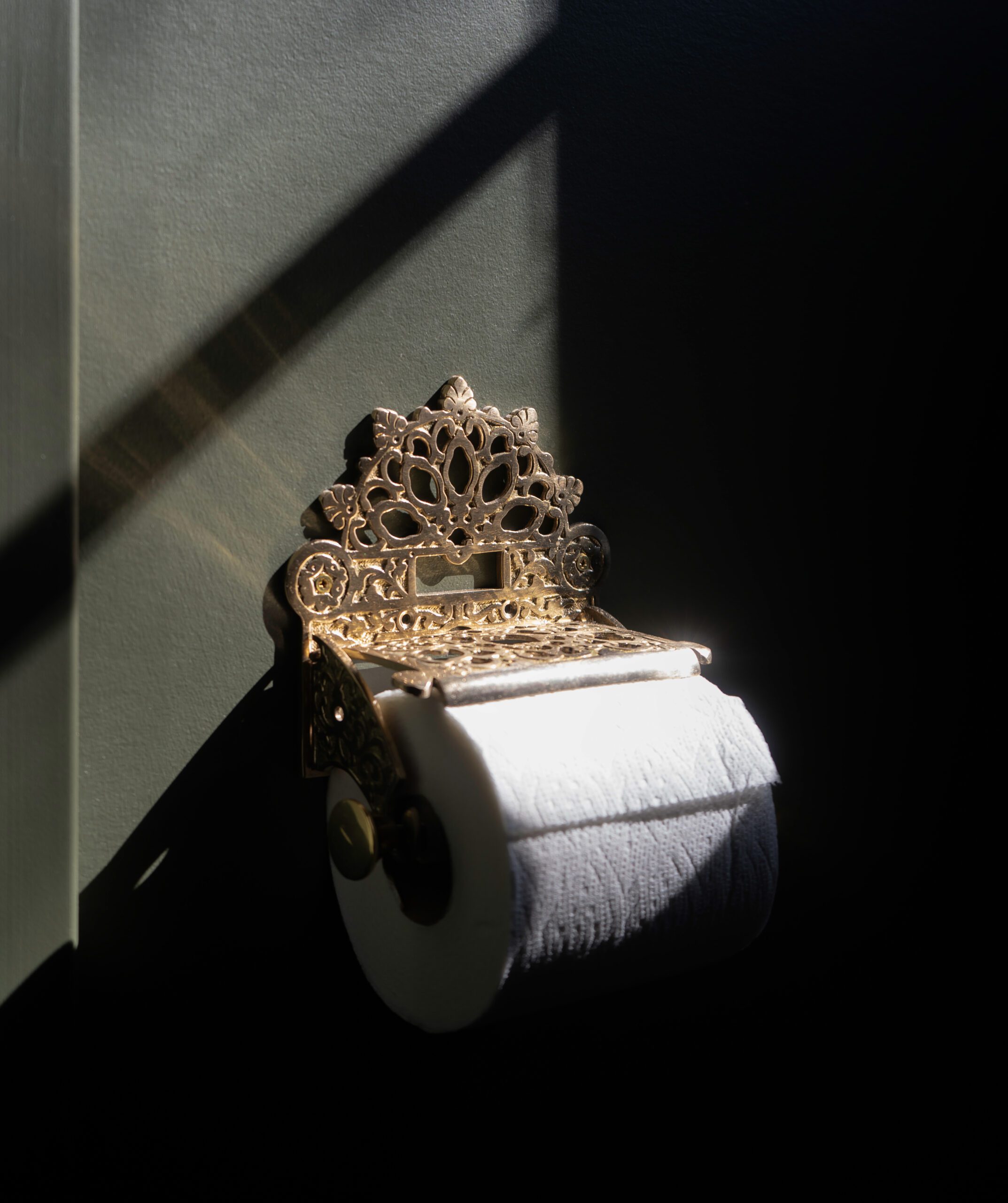 Fancy Gold Toilet Paper Roll