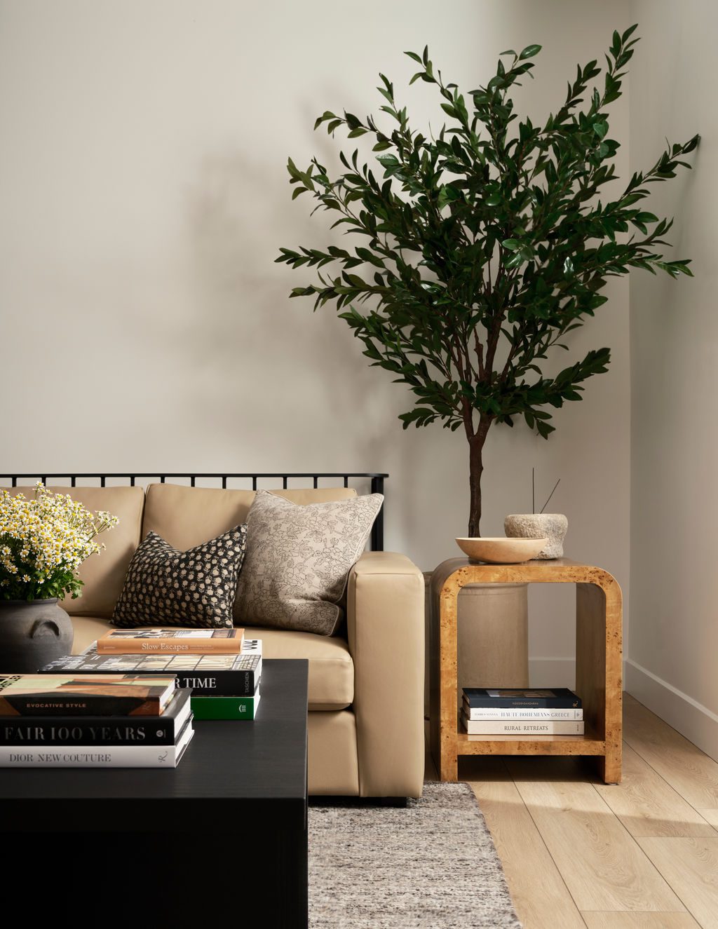 Living Room Plants and Side Tables