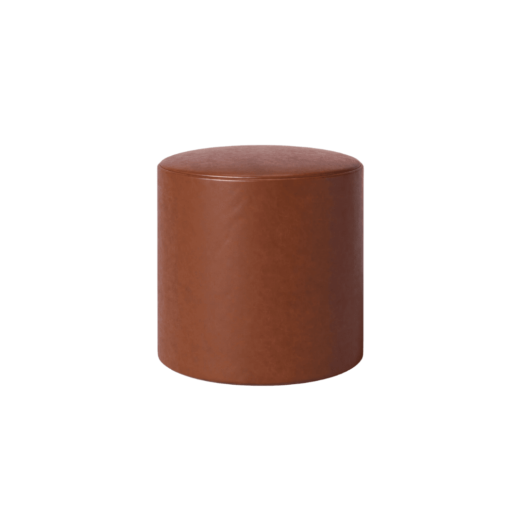 Leather Stool