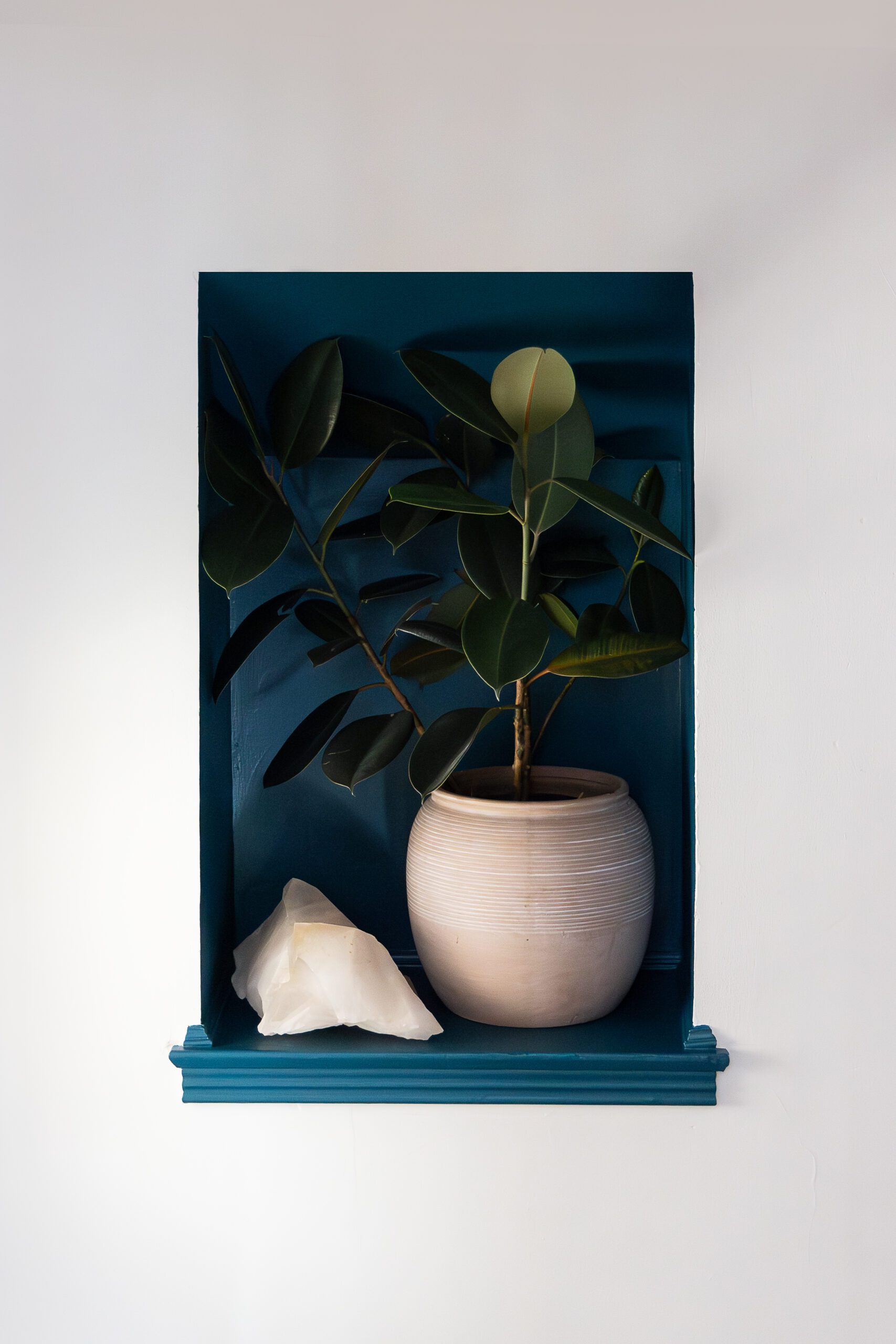 Cozy Colored Plant Nook