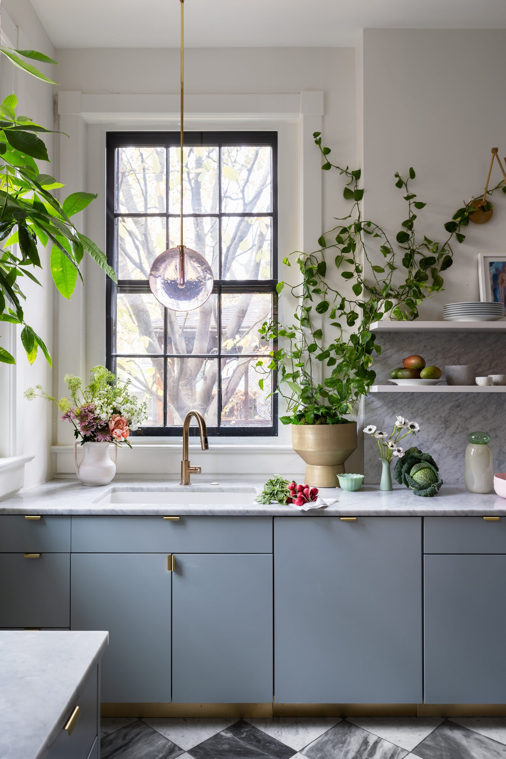 Big Window and Plants