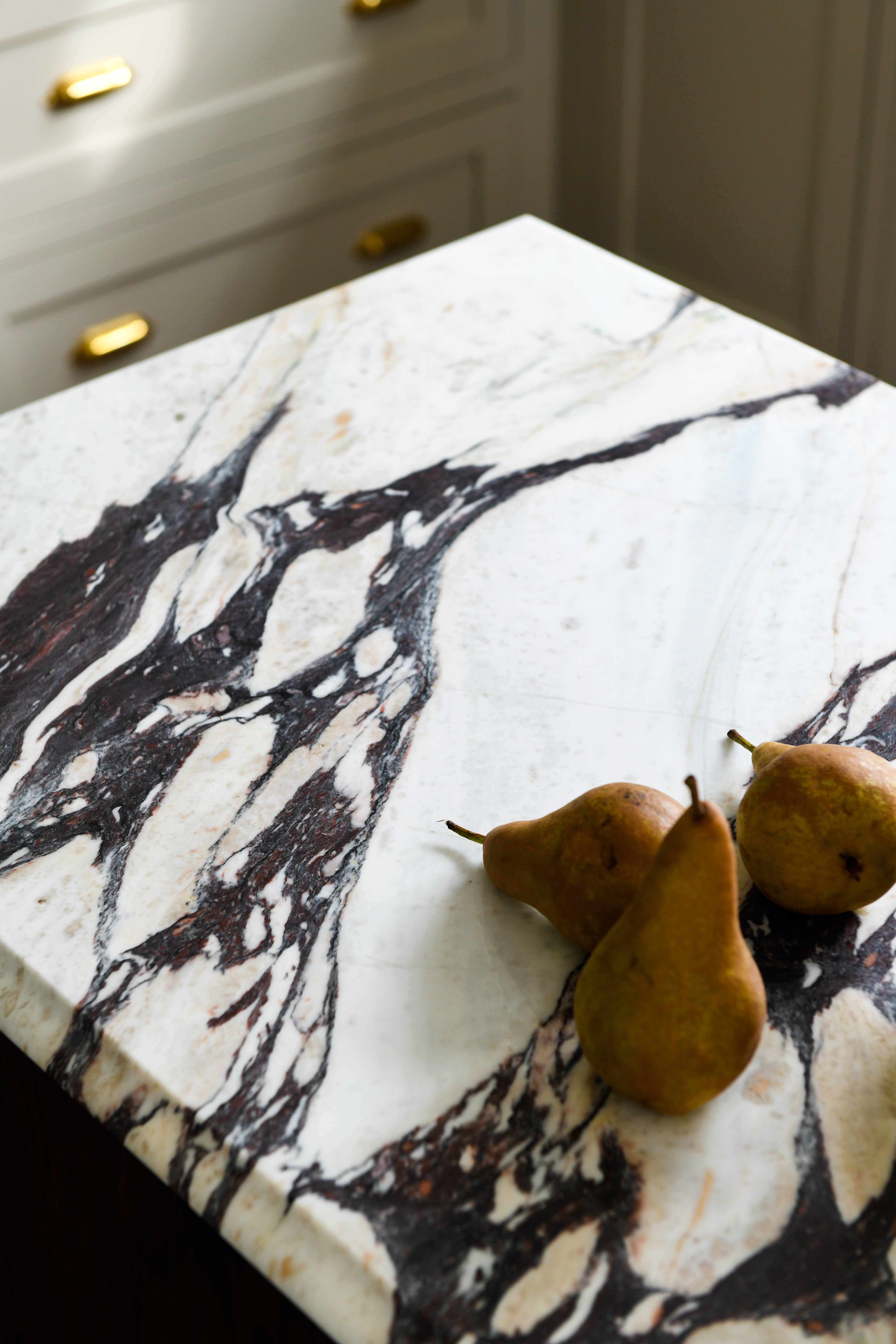 White/Dark Marble Countertops