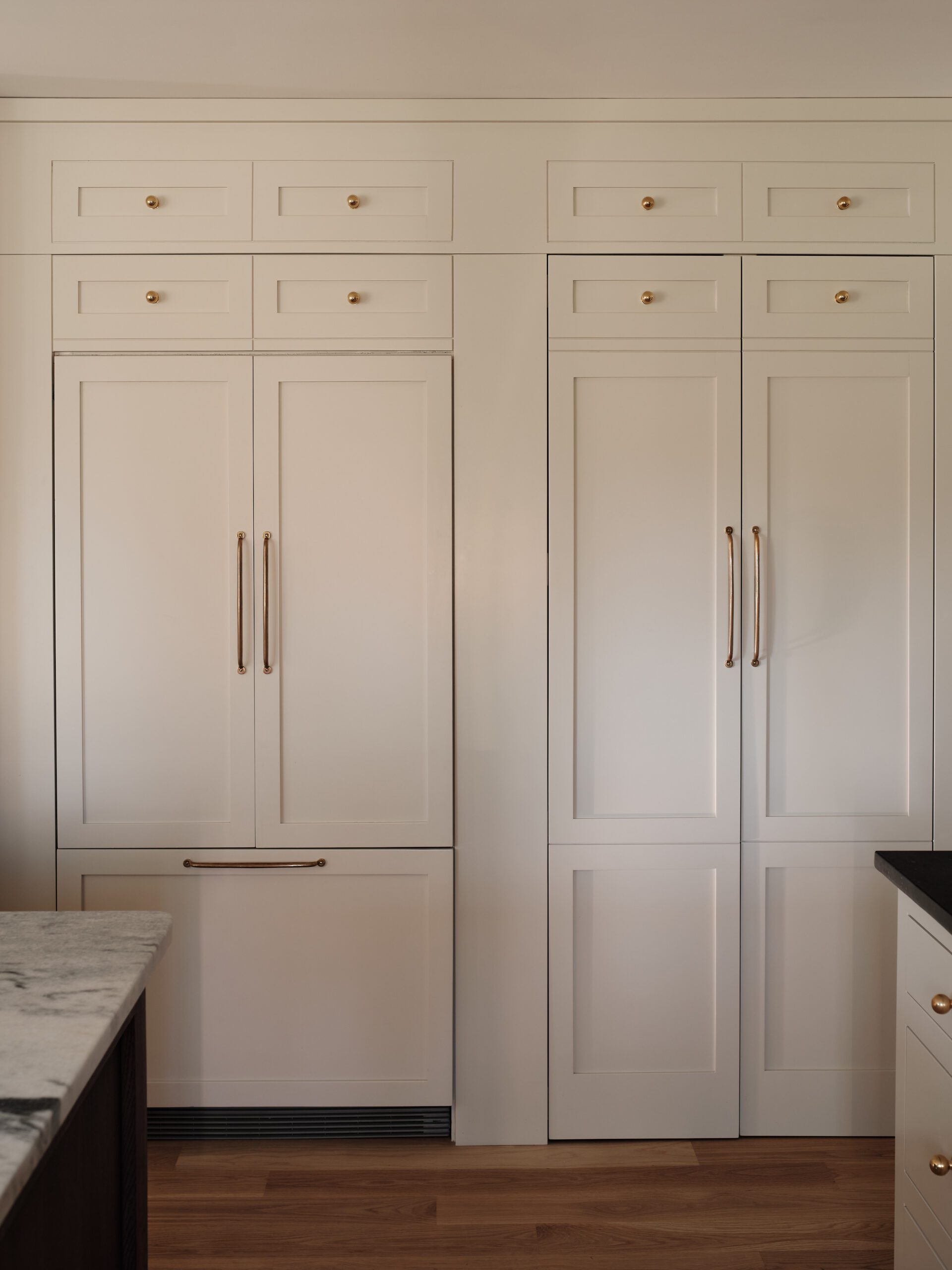 Built-In Fridge and Cabinets