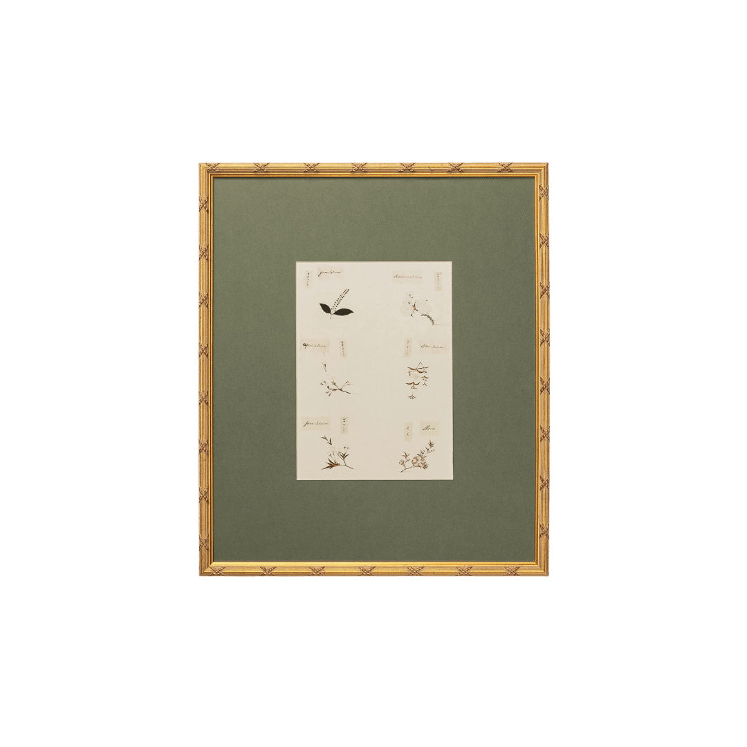 Small artwork with botanical drawings