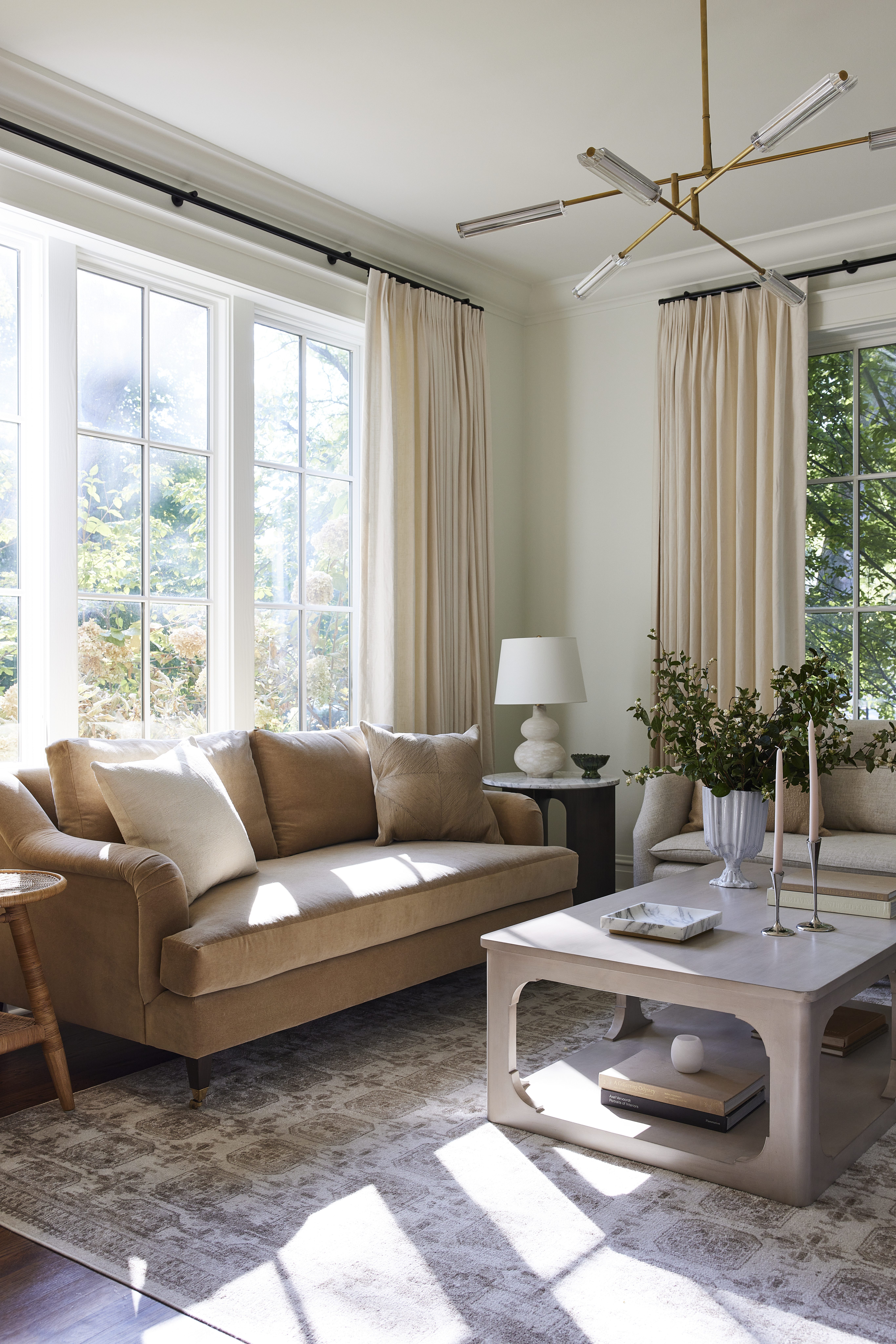 Contemporary living room details