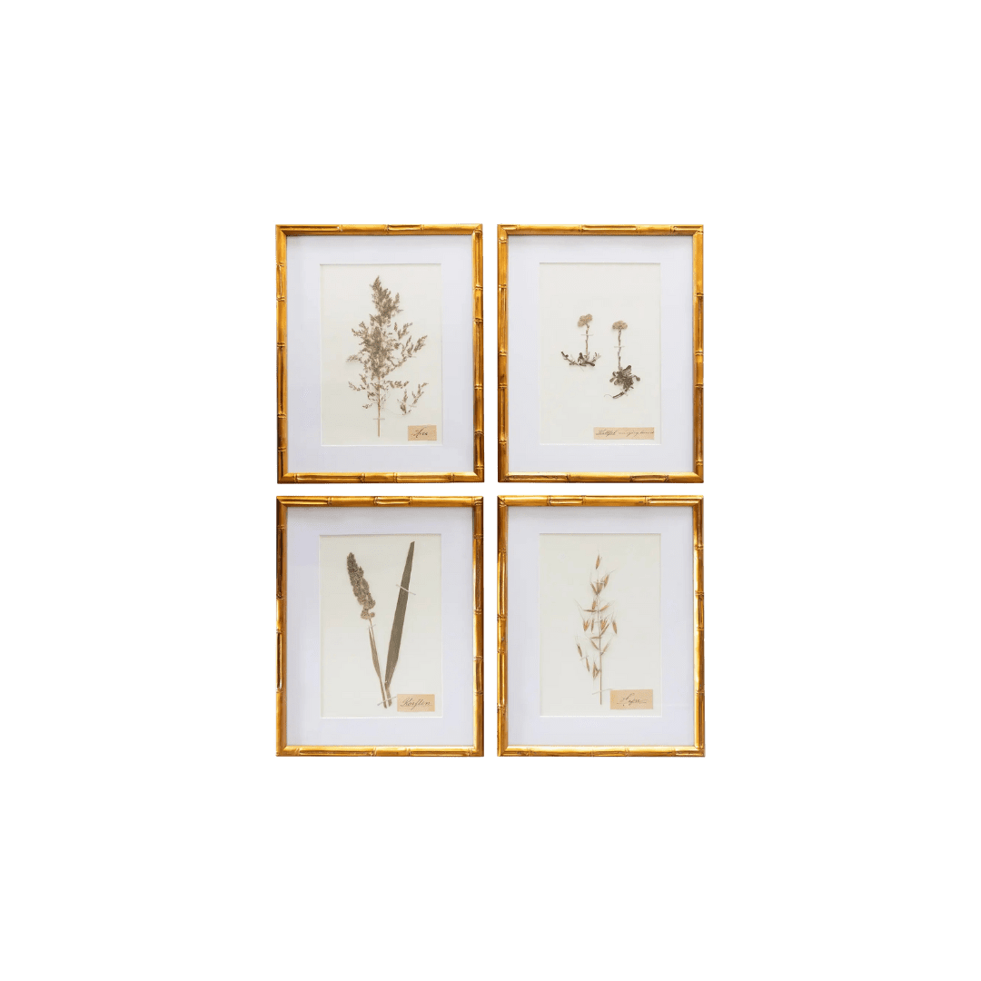 Vintage botanical framed artwork
