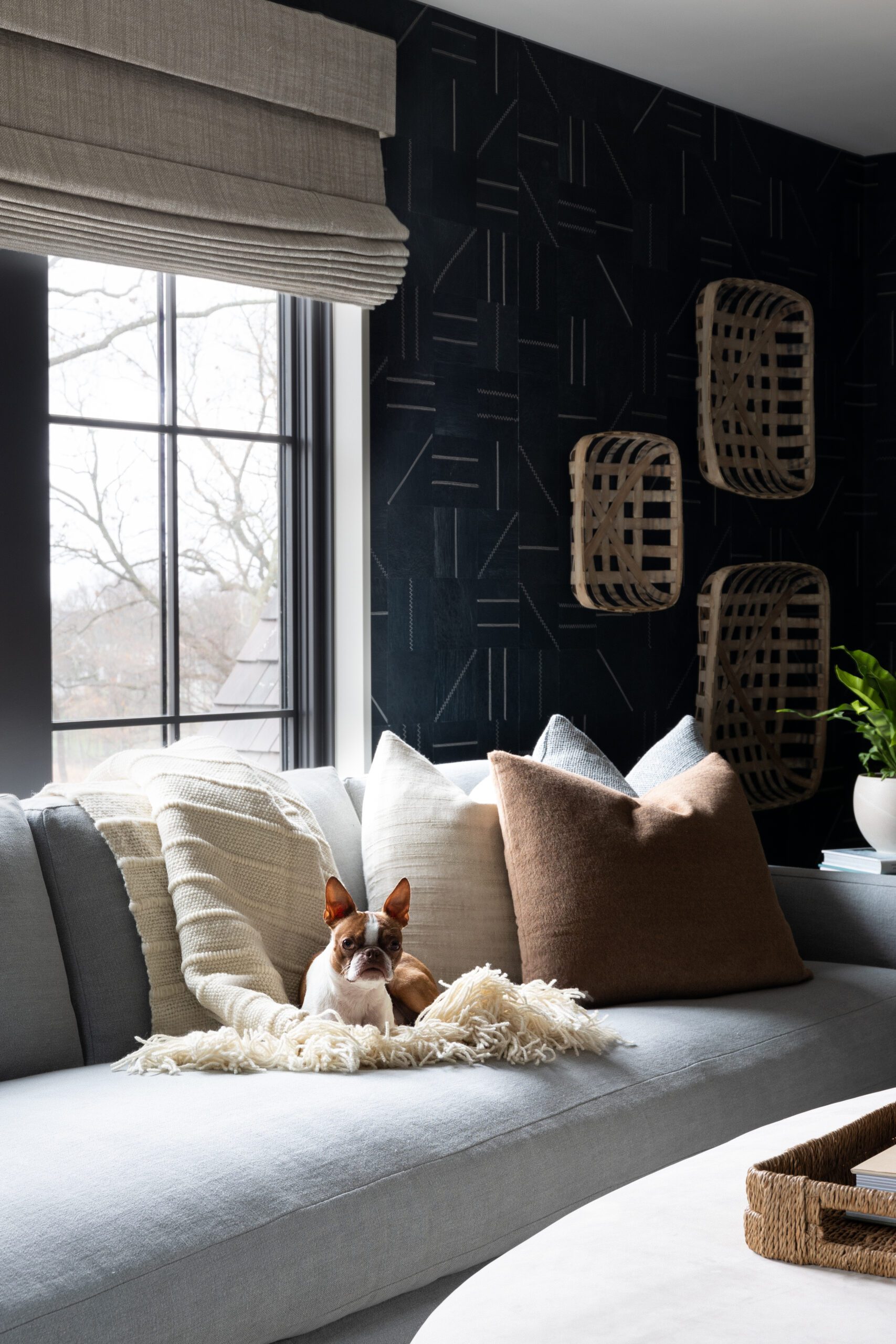 Family room lounging