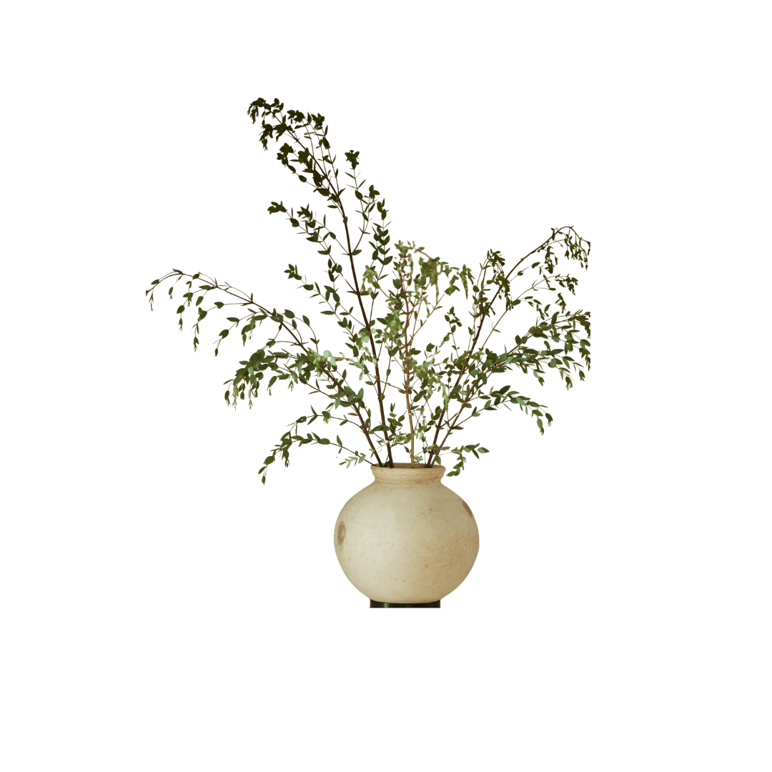 Beige vase with plant