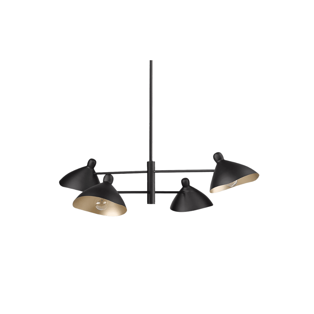 Black ceiling fixture