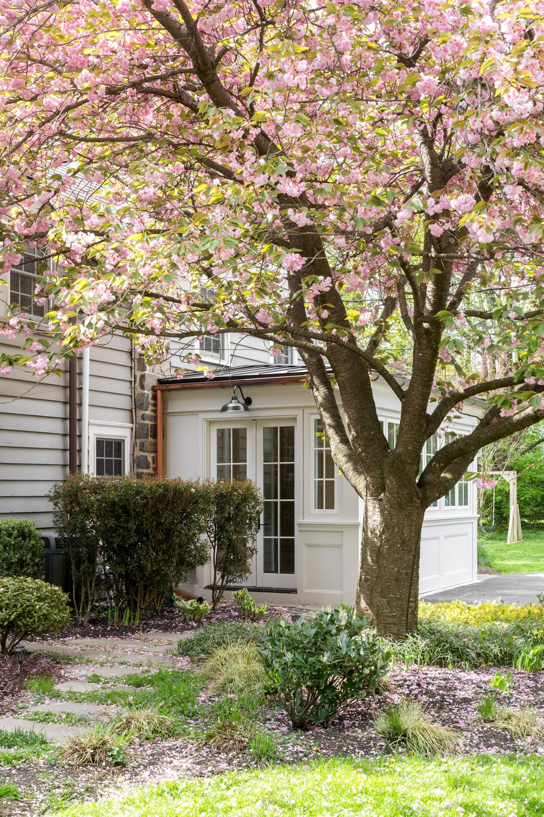 Exterior home pink tree