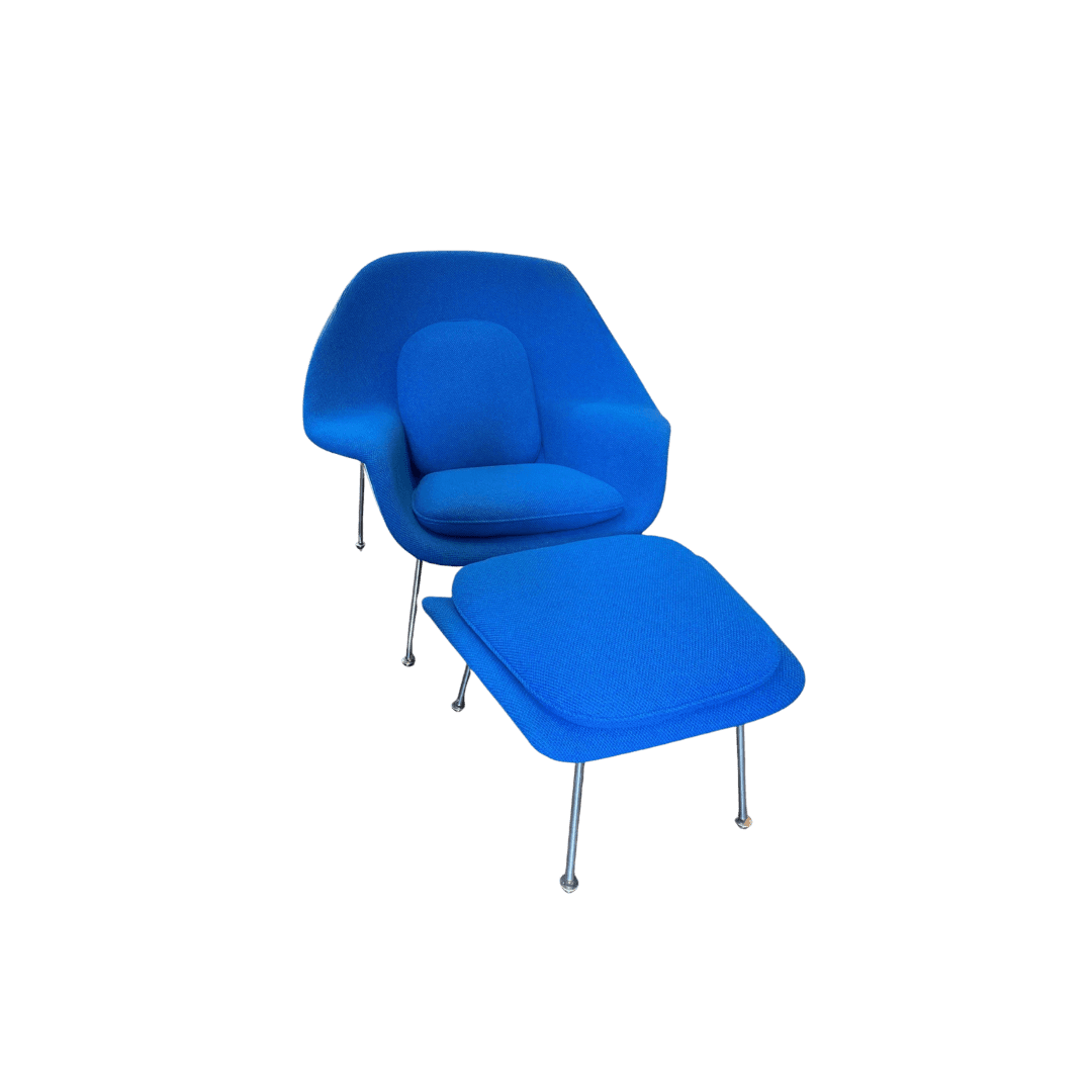 Blue womb chair