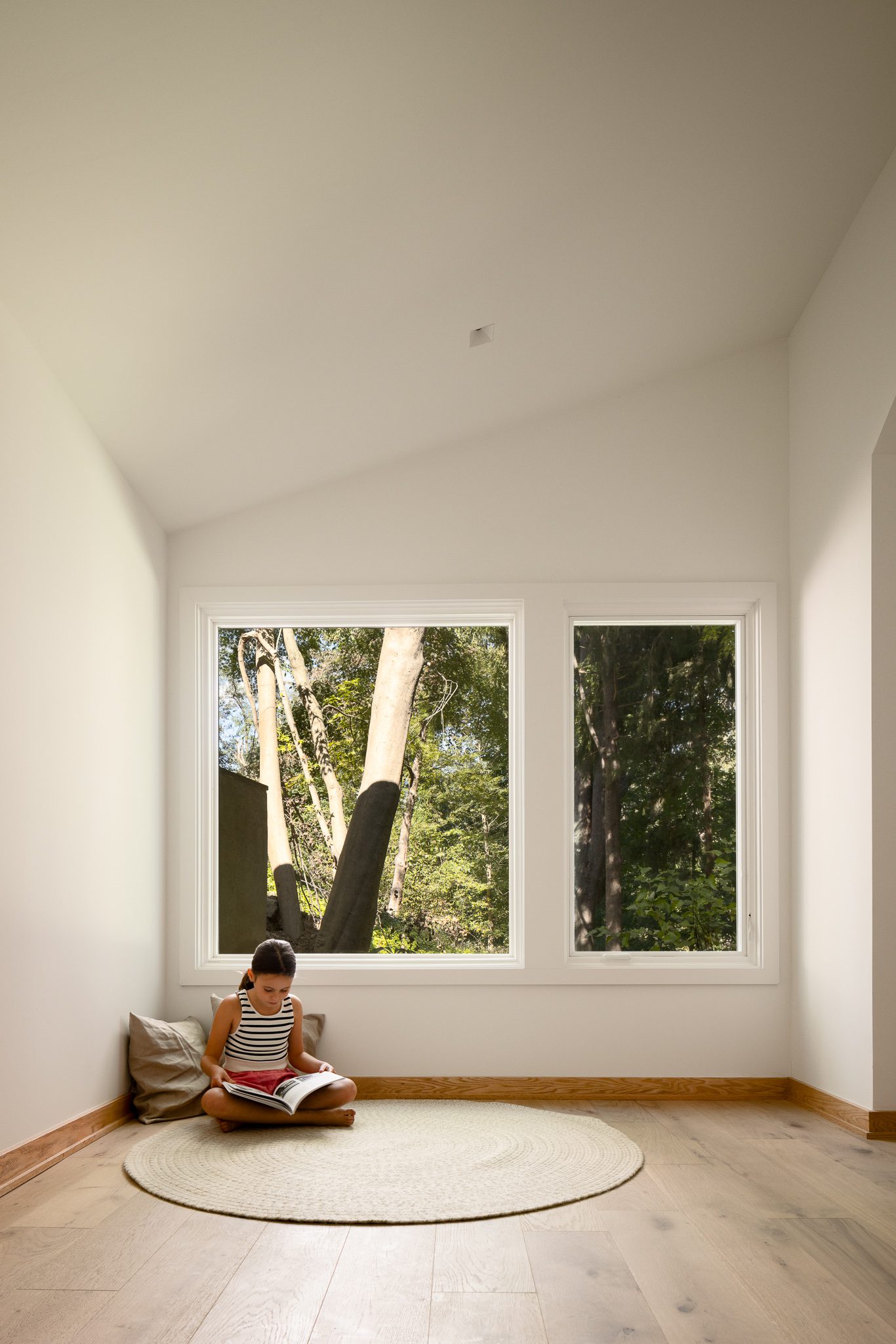 Mid century modern home design