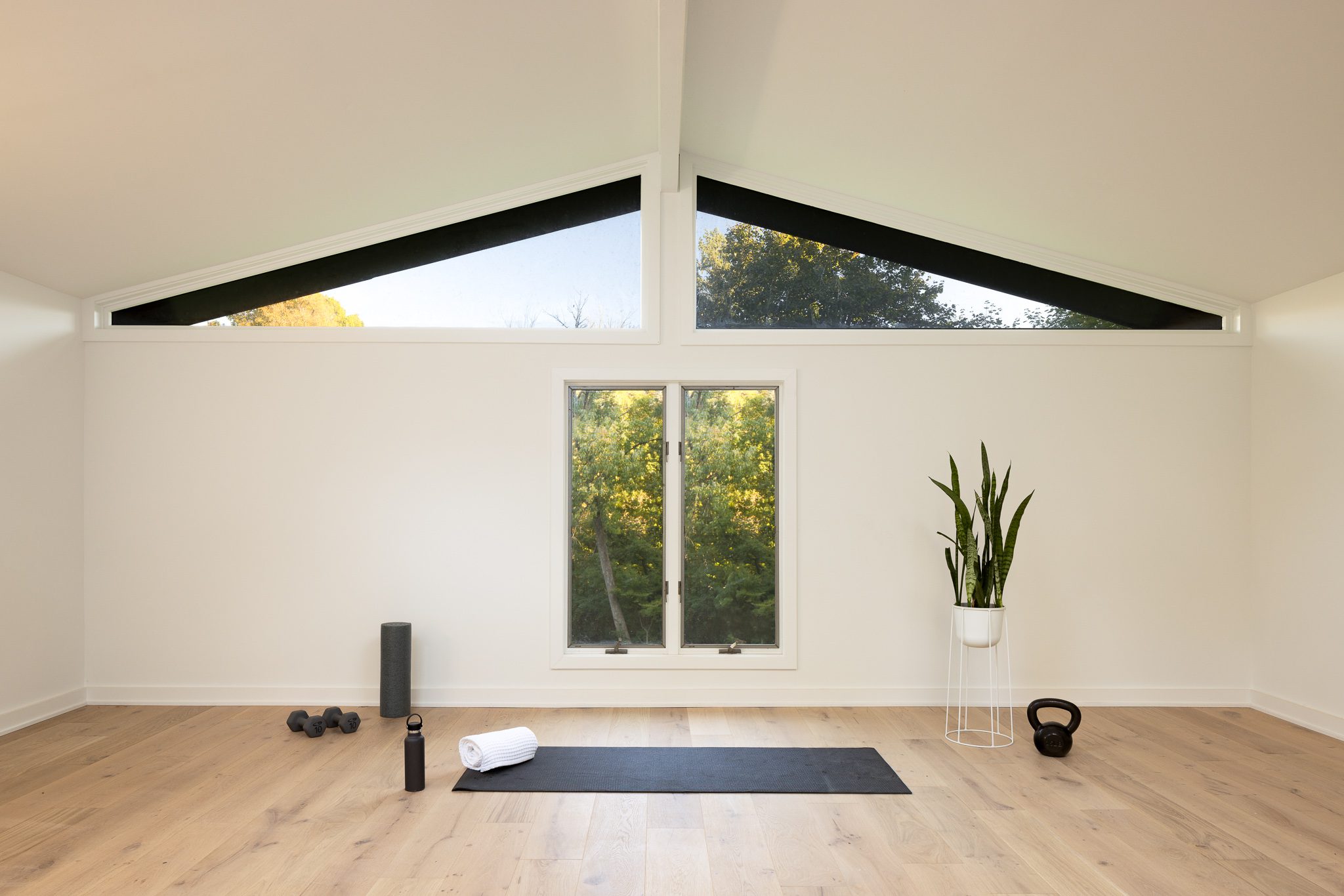 Mid century modern home design