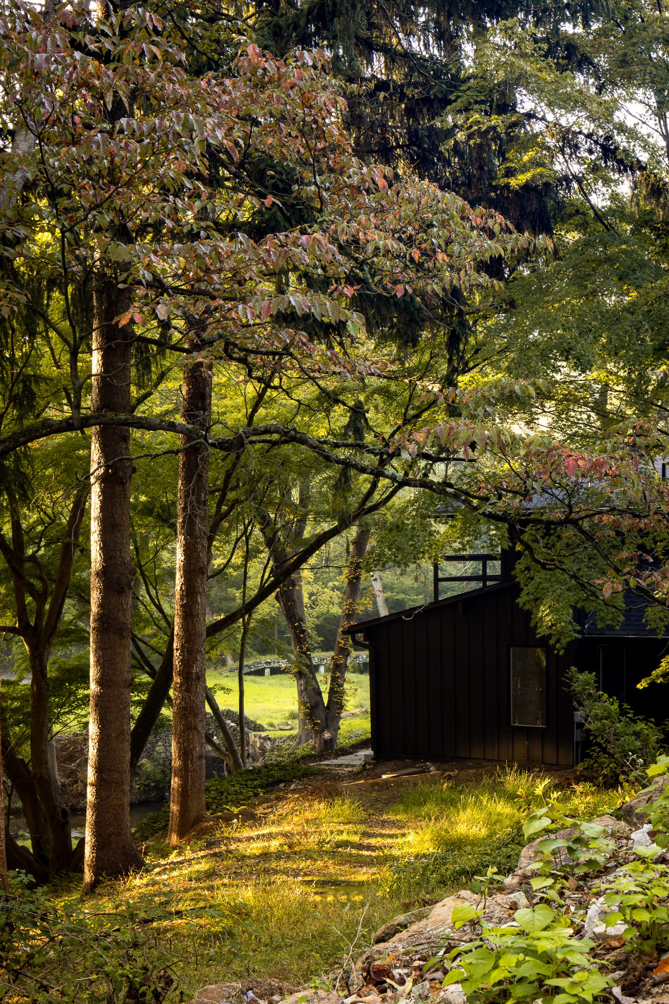 Mid century modern exterior home design