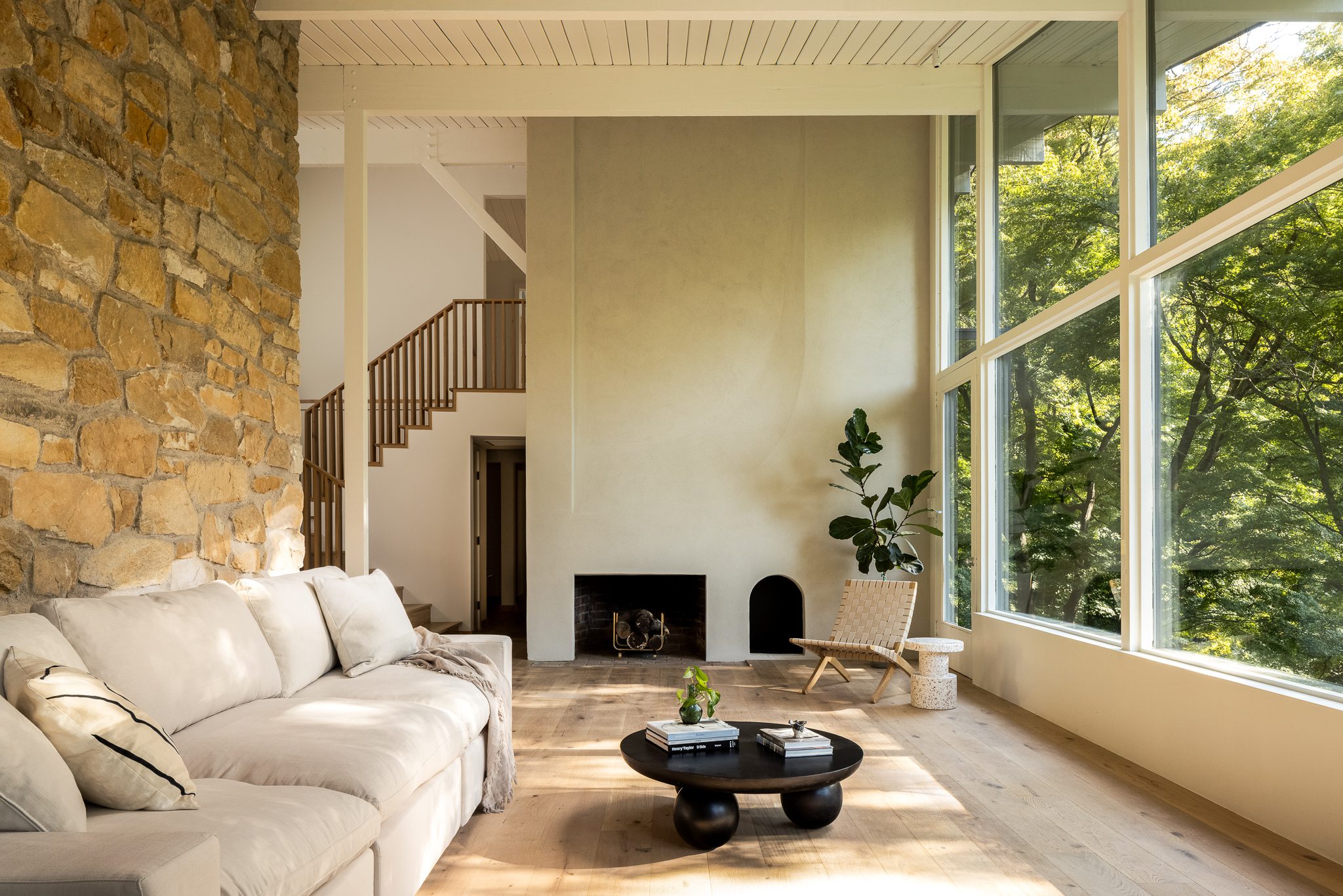 Mid century modern home design