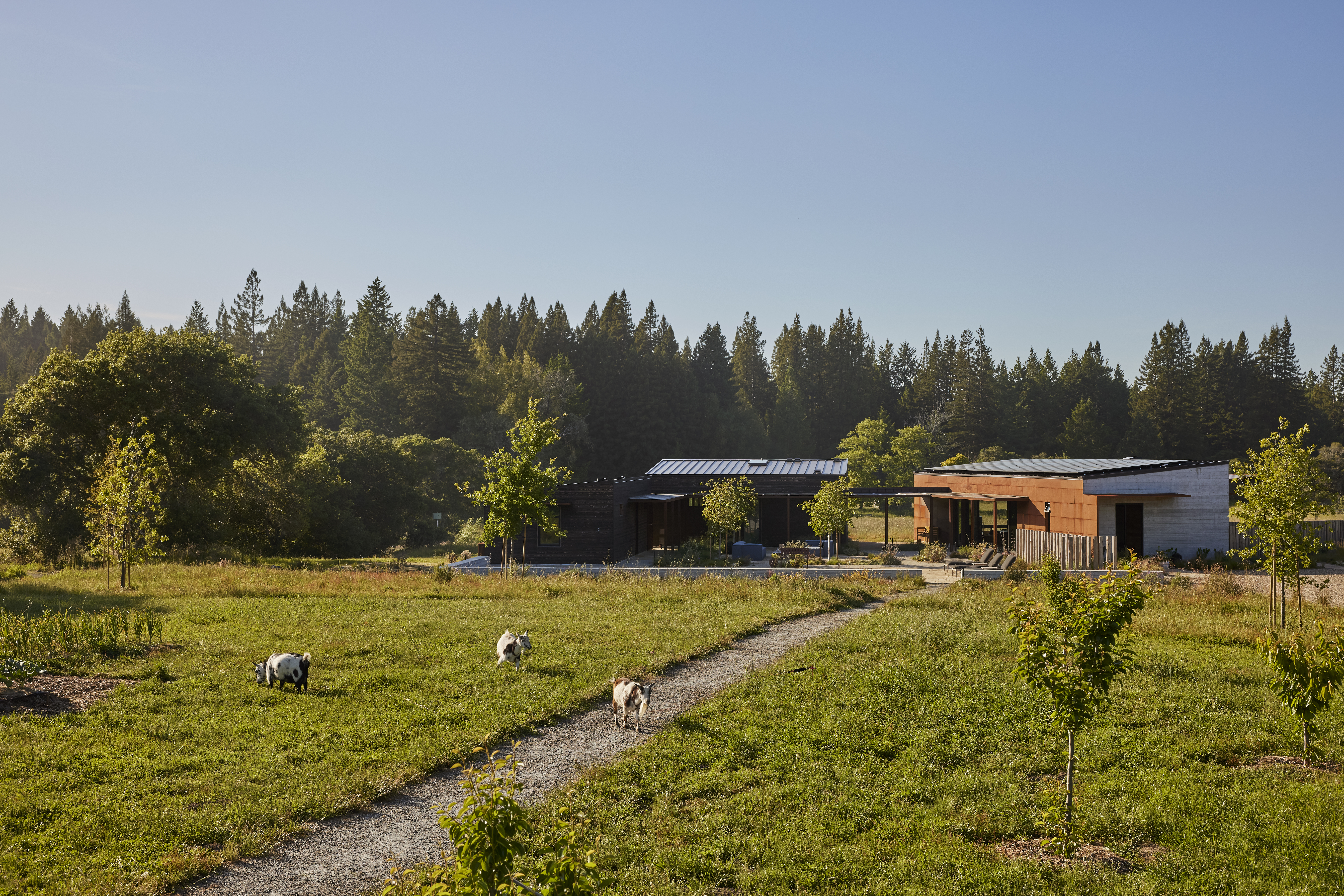 Refined Camp Occidental Regan Baker Design