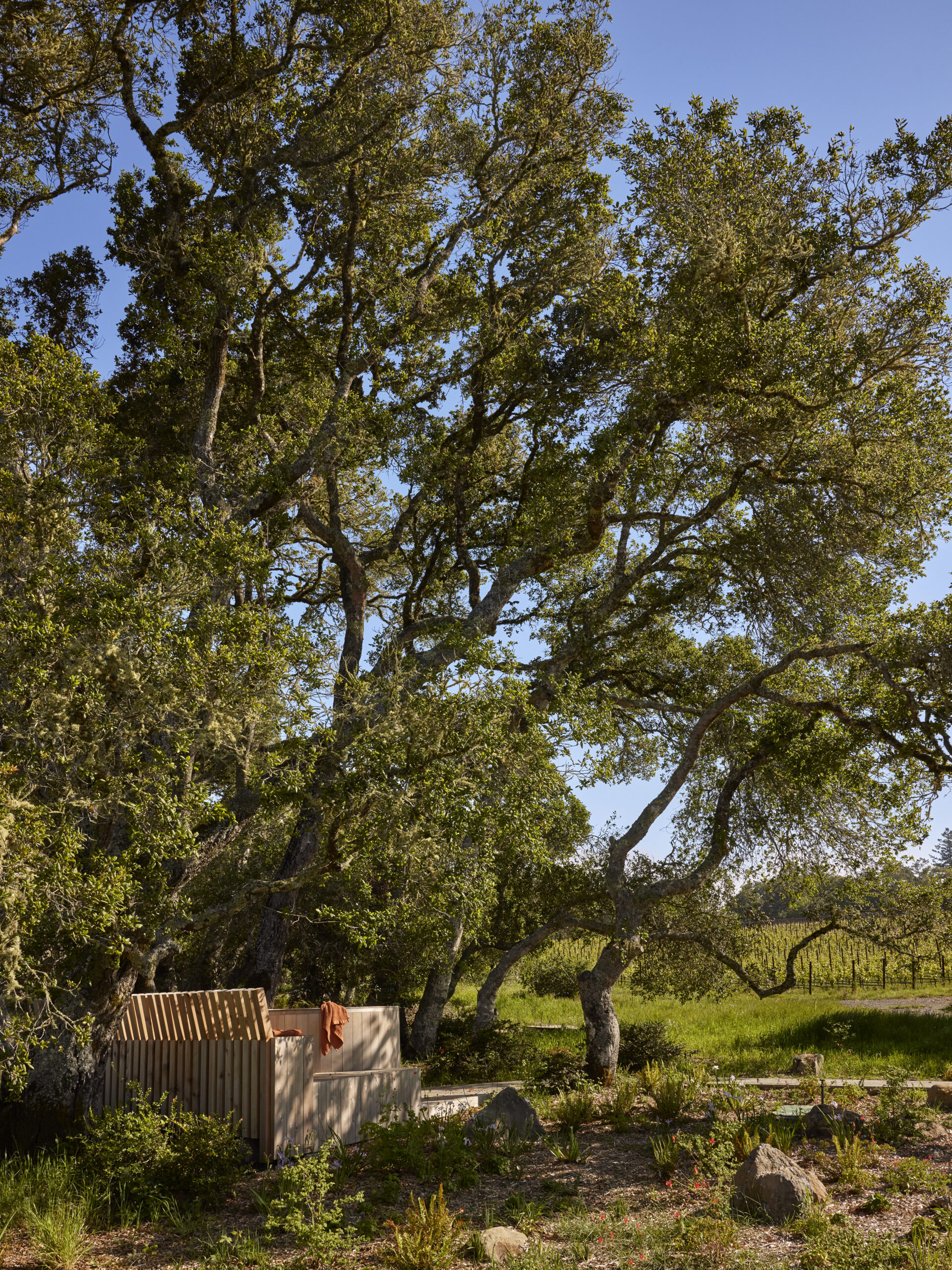 California camp Occidental outdoor area