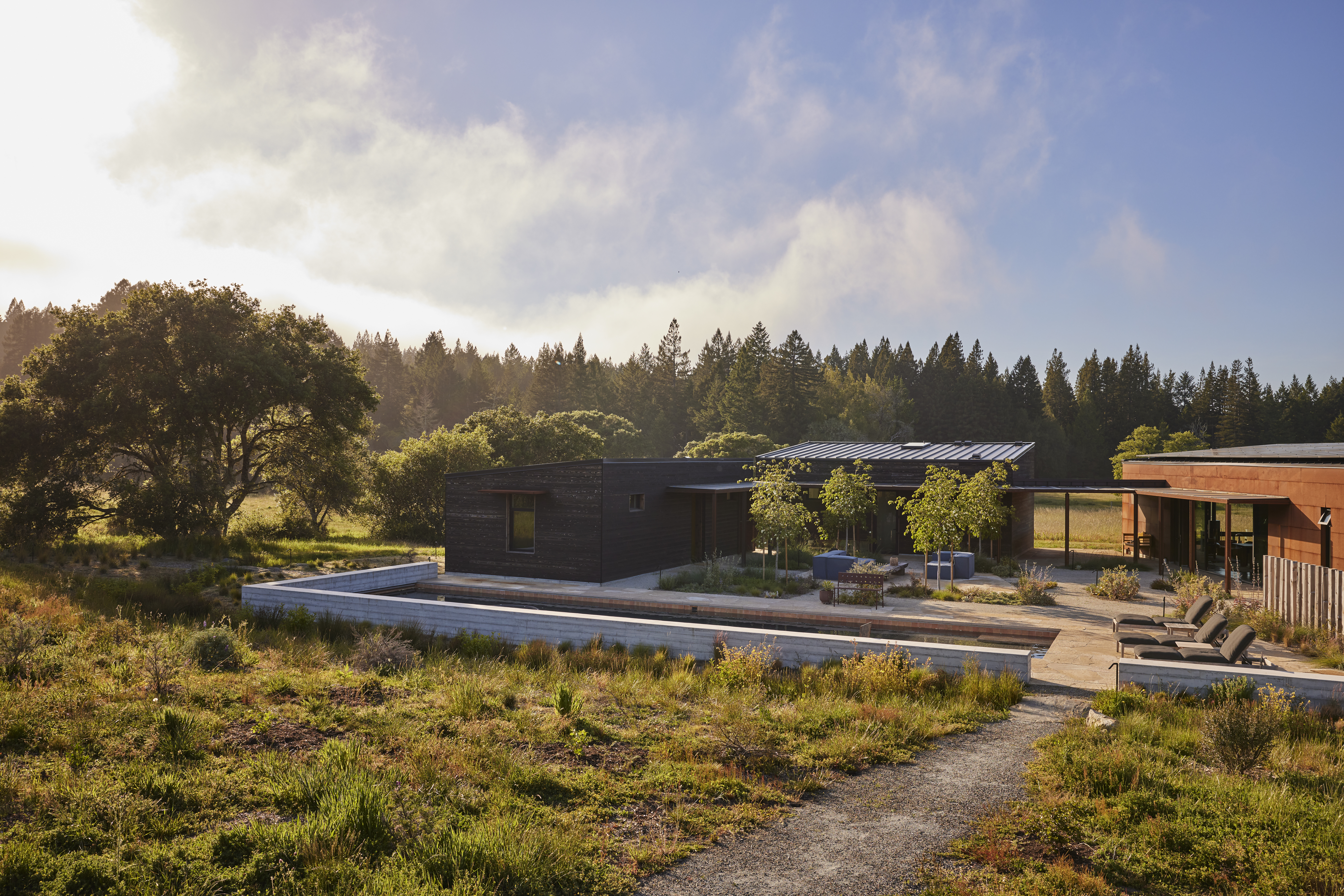 California camp Occidental outdoor area