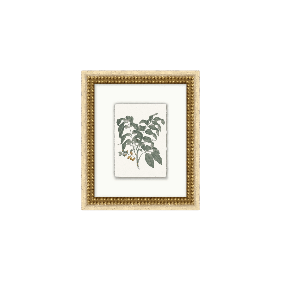 botanical framed artwork
