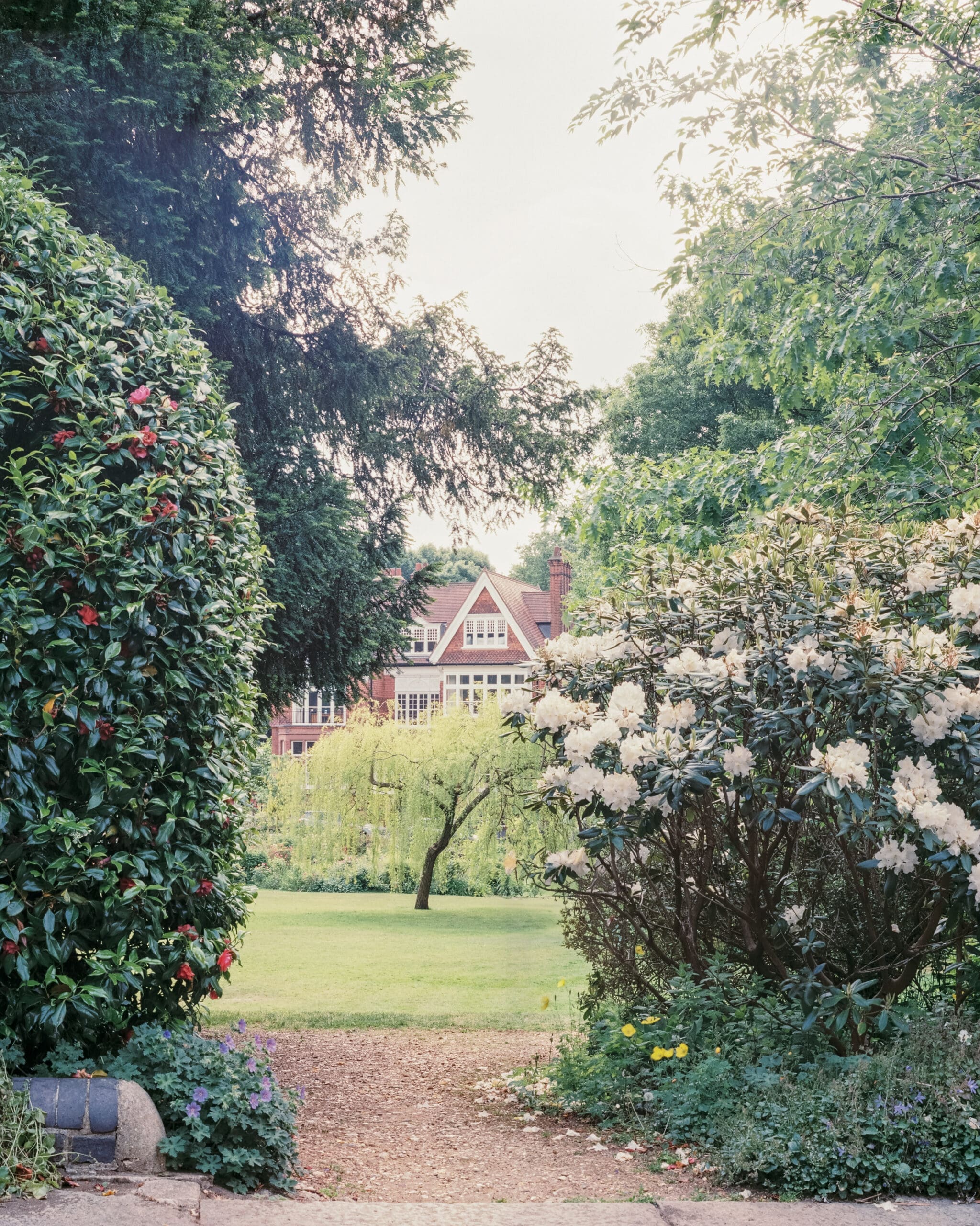 Pathway bordered by green shrubs and flowering plants leading to a brick house with a gabled roof in the distance.