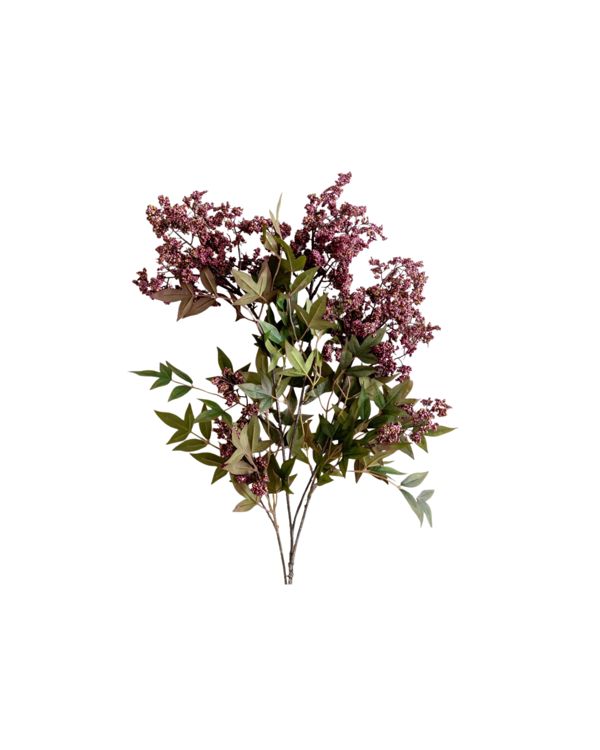 Bouquet of pink-purple flowers with green leaves against a black background.