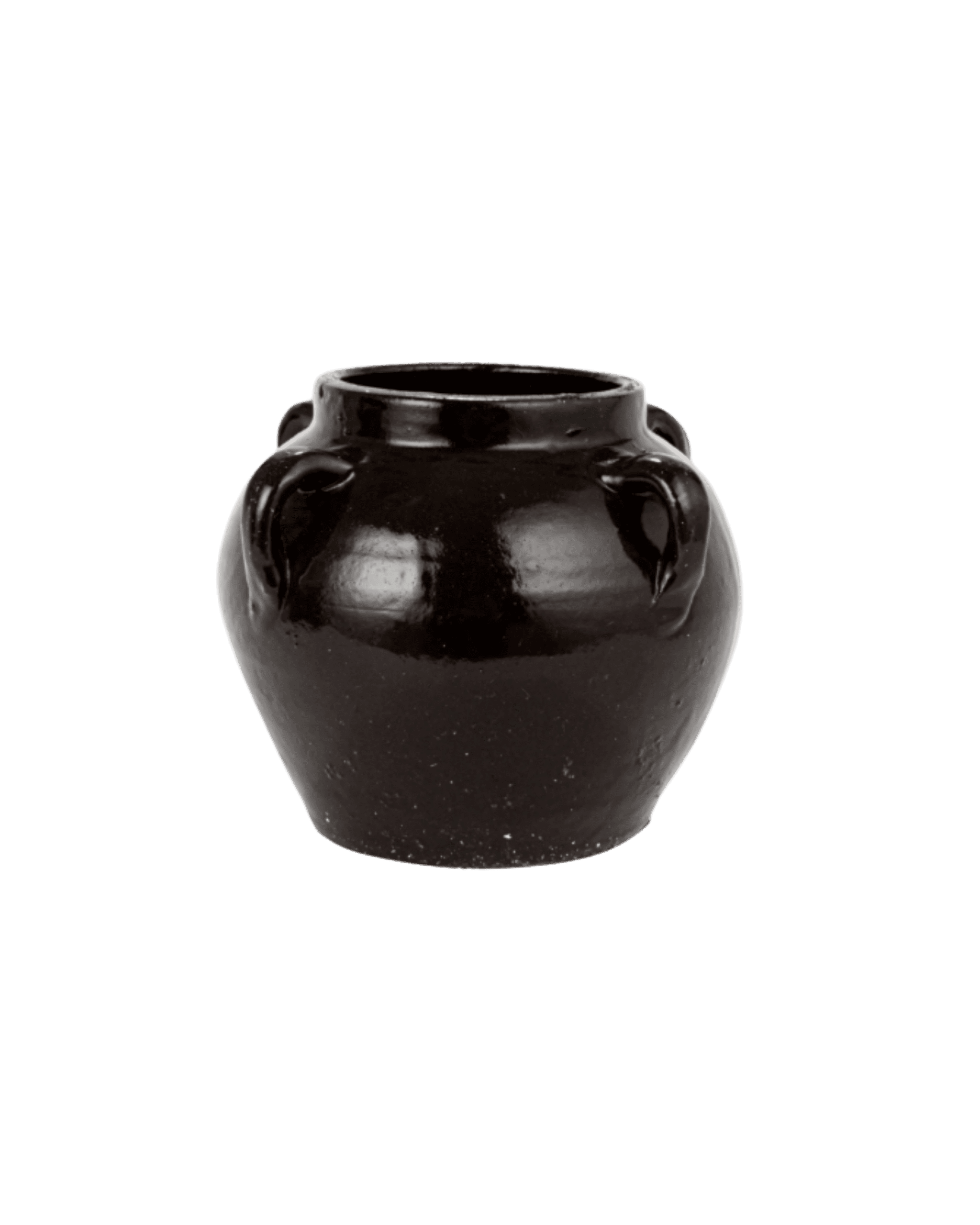Glossy black ceramic vase with rounded body and small side handles, cropped at the top against a black background