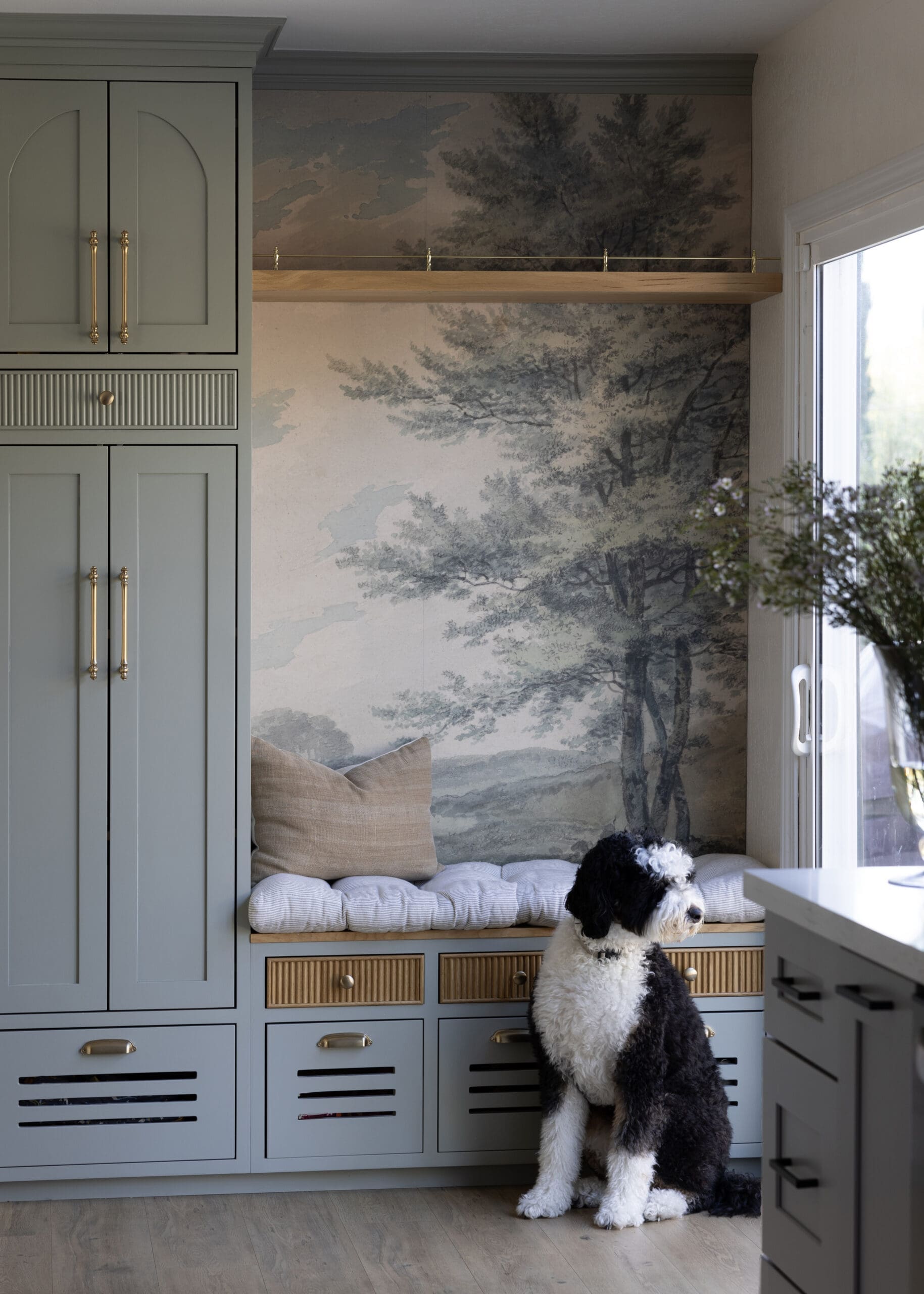 A fluffy black-and-white dog sits on a cushioned bench beneath sage-blue cabinets with brass handles, against a tree-mural wall near a window.