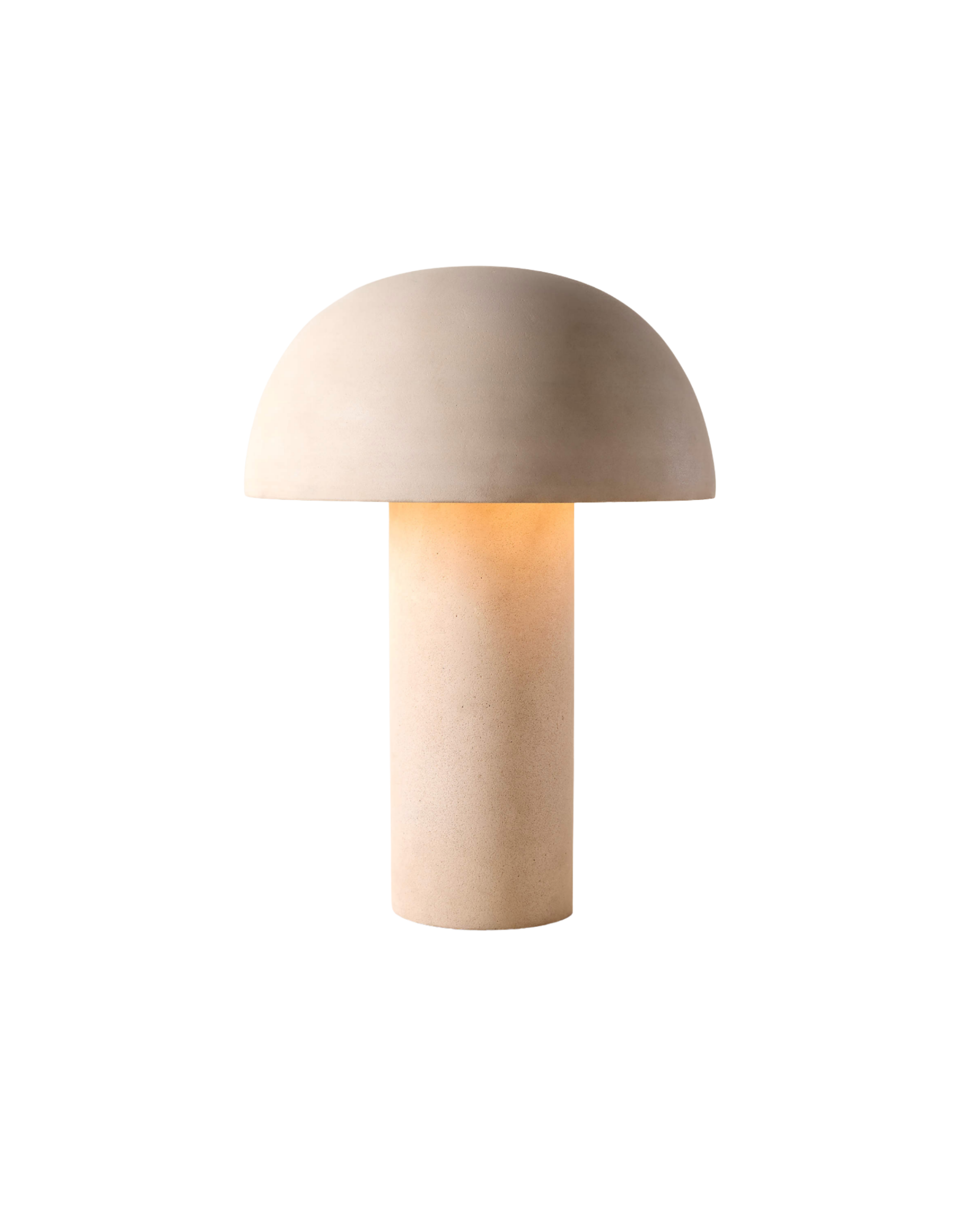 Beige mushroom with a smooth dome cap on a tall cylindrical stem against a black background, close-up view from below. Read as an artistic render of a mushroom.