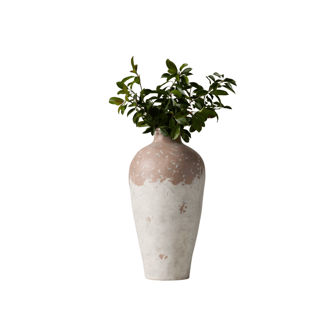 Two-tone ceramic vase with a green leafy plant, brown glaze on top and white on bottom