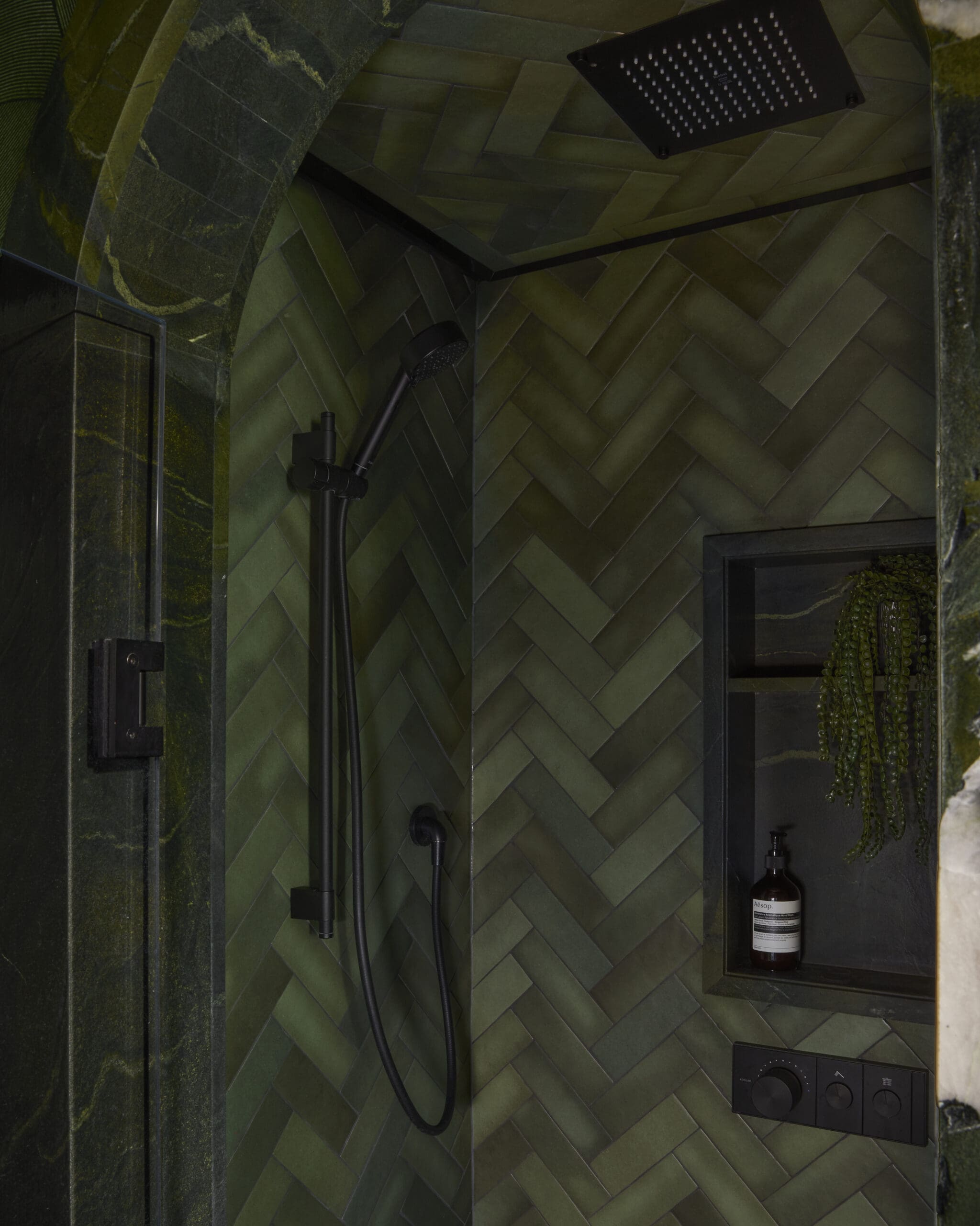 Dark green tiled shower with a black ceiling showerhead and handheld spray, plus a bottle in a recessed niche and a trailing plant